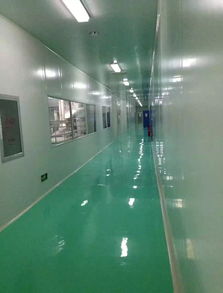 凈化工程裝修電子廠凈化車(chē)間